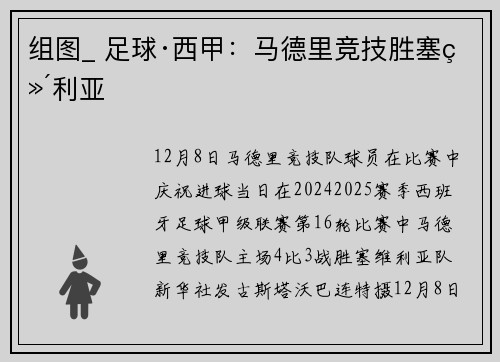 组图_ 足球·西甲：马德里竞技胜塞维利亚